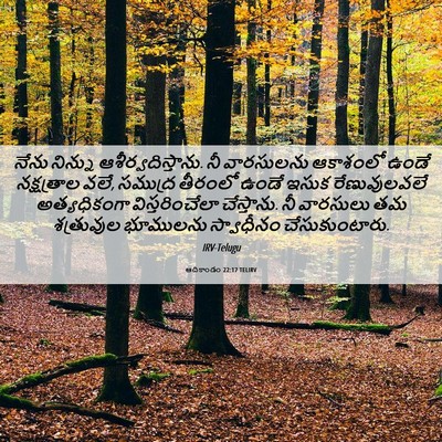 Picture 06 - ఆదికాండం 22:17 TELIRV - నేను నిన్ను - Bible Verse Picture