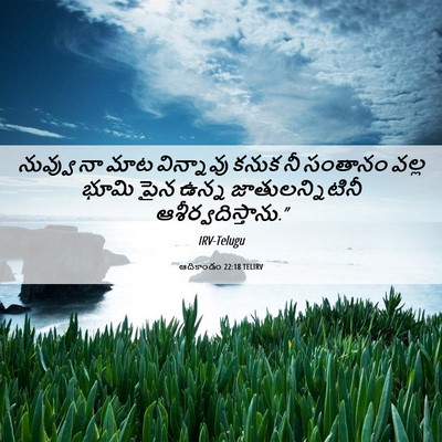 Picture 06 - ఆదికాండం 22:18 TELIRV - నువ్వు నా మాట - Bible Verse Picture