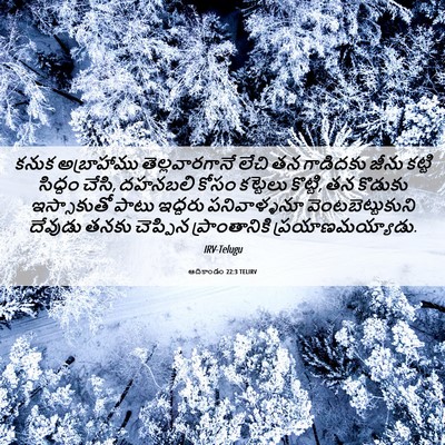 Picture 06 - ఆదికాండం 22:3 TELIRV - కనుక అబ్రాహాము - Bible Verse Picture