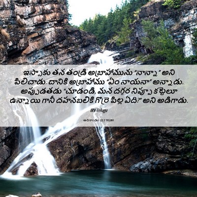 Picture 06 - ఆదికాండం 22:7 TELIRV - ఇస్సాకు తన తండ్రి - Bible Verse Picture
