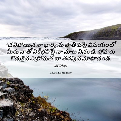Picture 06 - ఆదికాండం 23:8 TELIRV - “చనిపోయిన నా - Bible Verse Picture