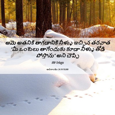Picture 06 - ఆదికాండం 24:19 TELIRV - ఆమె అతనికి - Bible Verse Picture
