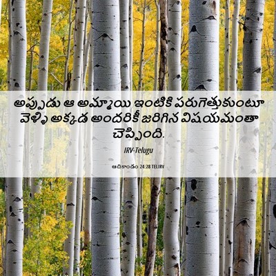 Picture 06 - ఆదికాండం 24:28 TELIRV - అప్పుడు ఆ అమ్మాయి - Bible Verse Picture
