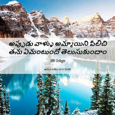 Picture 06 - ఆదికాండం 24:57 TELIRV - అప్పుడు వాళ్ళు - Bible Verse Picture