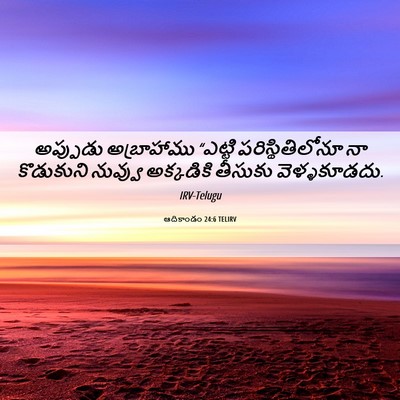 Picture 06 - ఆదికాండం 24:6 TELIRV - అప్పుడు అబ్రాహాము - Bible Verse Picture