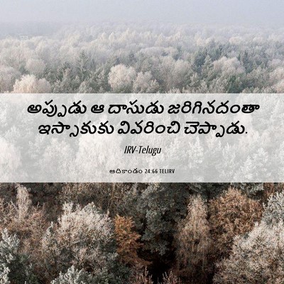 Picture 06 - ఆదికాండం 24:66 TELIRV - అప్పుడు ఆ దాసుడు - Bible Verse Picture