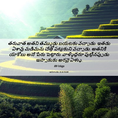 Picture 06 - ఆదికాండం 25:26 TELIRV - తరువాత అతని - Bible Verse Picture