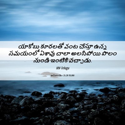 Picture 06 - ఆదికాండం 25:29 TELIRV - యాకోబు కూరలతో వంట - Bible Verse Picture