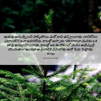 Picture 06 - ఆదికాండం 26:22 TELIRV - అతడు అక్కడ్నించి - Bible Verse Picture