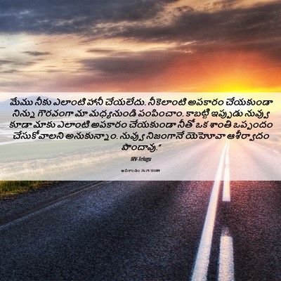 Picture 06 - ఆదికాండం 26:29 TELIRV - మేము నీకు ఎలాంటి - Bible Verse Picture