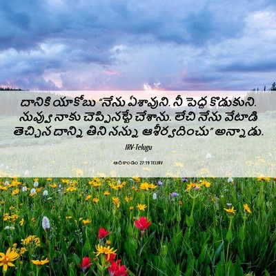 Picture 06 - ఆదికాండం 27:19 TELIRV - దానికి యాకోబు - Bible Verse Picture