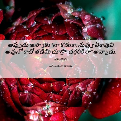 Picture 06 - ఆదికాండం 27:21 TELIRV - అప్పుడు ఇస్సాకు - Bible Verse Picture