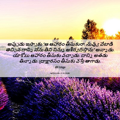 Picture 06 - ఆదికాండం 27:25 TELIRV - అప్పుడు ఇస్సాకు - Bible Verse Picture