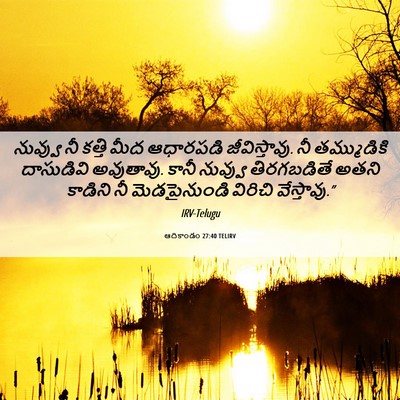Picture 06 - ఆదికాండం 27:40 TELIRV - నువ్వు నీ కత్తి - Bible Verse Picture