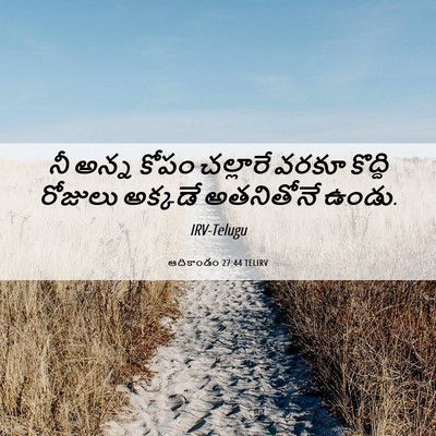 Picture 06 - ఆదికాండం 27:44 TELIRV - నీ అన్న కోపం - Bible Verse Picture