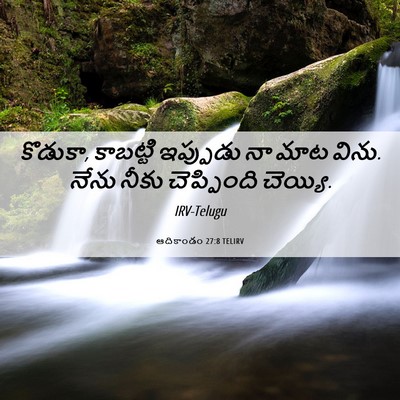 Picture 06 - ఆదికాండం 27:8 TELIRV - కొడుకా, కాబట్టి - Bible Verse Picture