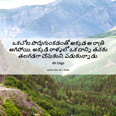 Picture 06 - ఆదికాండం 28:11 TELIRV - ఒకచోట - Bible Verse Picture