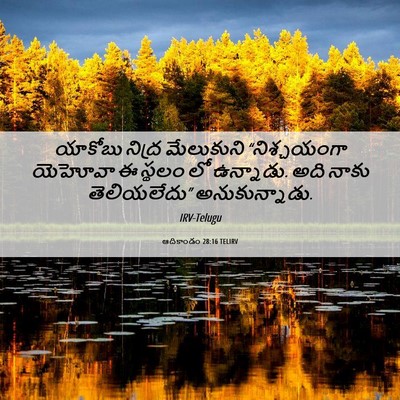 Picture 06 - ఆదికాండం 28:16 TELIRV - యాకోబు నిద్ర - Bible Verse Picture