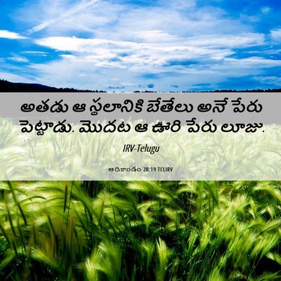 Picture 06 - ఆదికాండం 28:19 TELIRV - అతడు ఆ స్థలానికి - Bible Verse Picture