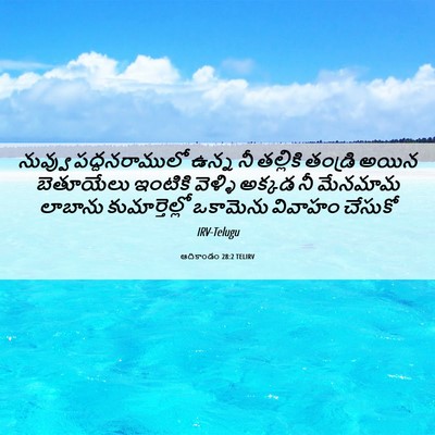 Picture 06 - ఆదికాండం 28:2 TELIRV - నువ్వు - Bible Verse Picture