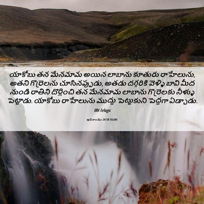 Picture 06 - ఆదికాండం 29:10 TELIRV - యాకోబు తన మేనమామ - Bible Verse Picture