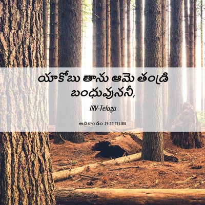 Picture 06 - ఆదికాండం 29:11 TELIRV - యాకోబు తాను ఆమె - Bible Verse Picture