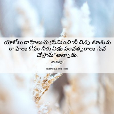 Picture 06 - ఆదికాండం 29:18 TELIRV - యాకోబు రాహేలును - Bible Verse Picture