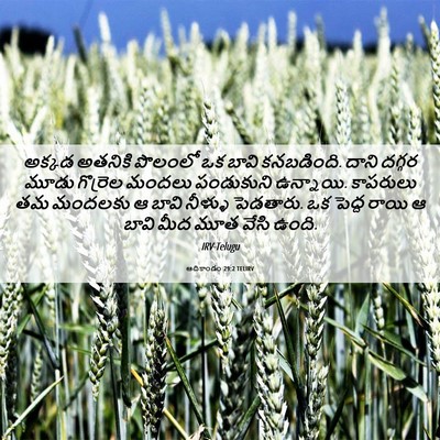 Picture 06 - ఆదికాండం 29:2 TELIRV - అక్కడ అతనికి - Bible Verse Picture