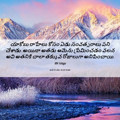 Picture 06 - ఆదికాండం 29:20 TELIRV - యాకోబు రాహేలు - Bible Verse Picture