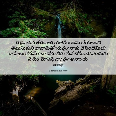 Picture 06 - ఆదికాండం 29:25 TELIRV - తెల్లవారిన తరువాత - Bible Verse Picture