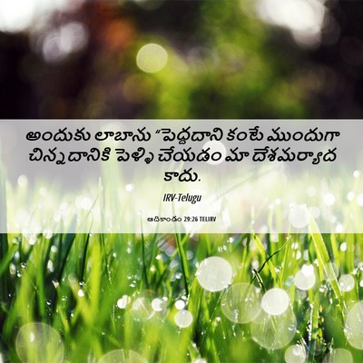 Picture 06 - ఆదికాండం 29:26 TELIRV - అందుకు లాబాను - Bible Verse Picture