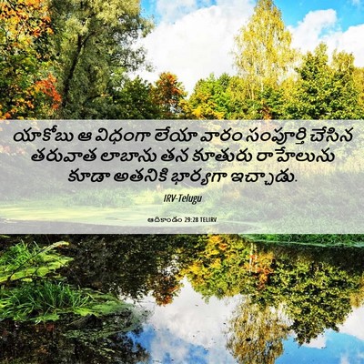 Picture 06 - ఆదికాండం 29:28 TELIRV - యాకోబు ఆ విధంగా - Bible Verse Picture