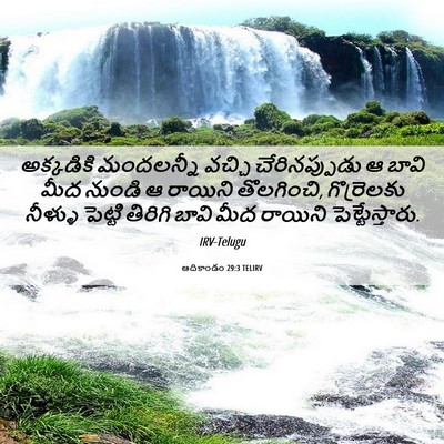 Picture 06 - ఆదికాండం 29:3 TELIRV - అక్కడికి మందలన్నీ - Bible Verse Picture