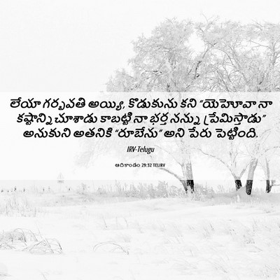 Picture 06 - ఆదికాండం 29:32 TELIRV - లేయా గర్భవతి - Bible Verse Picture