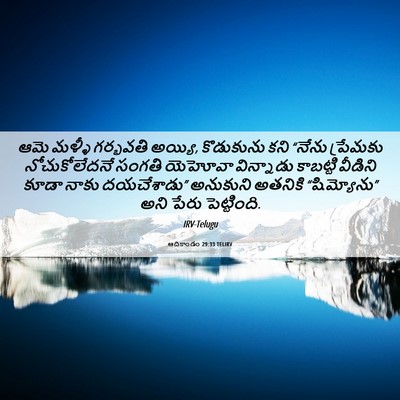 Picture 06 - ఆదికాండం 29:33 TELIRV - ఆమె మళ్ళీ గర్భవతి - Bible Verse Picture