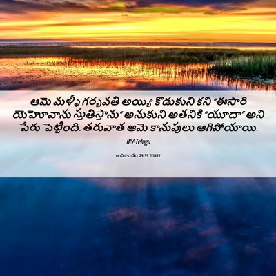 Picture 06 - ఆదికాండం 29:35 TELIRV - ఆమె మళ్ళీ గర్భవతి - Bible Verse Picture