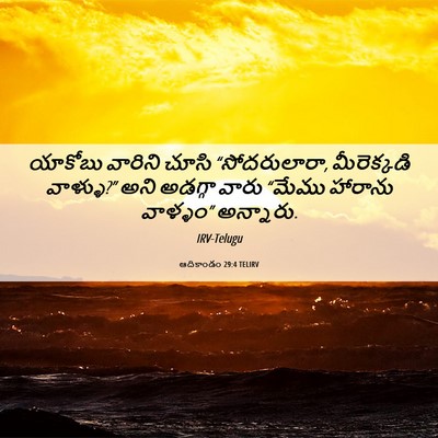 Picture 06 - ఆదికాండం 29:4 TELIRV - యాకోబు వారిని - Bible Verse Picture