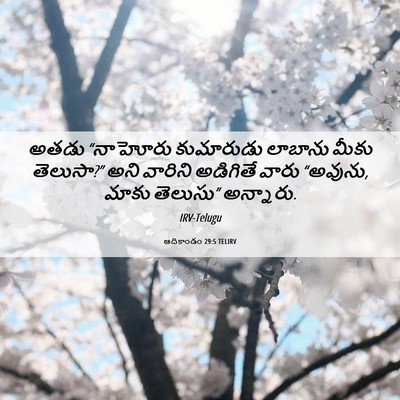Picture 06 - ఆదికాండం 29:5 TELIRV - అతడు “నాహోరు - Bible Verse Picture