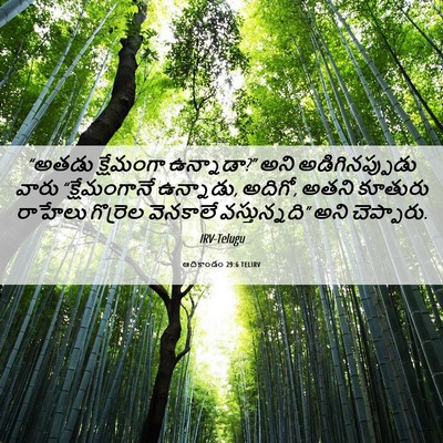Picture 06 - ఆదికాండం 29:6 TELIRV - “అతడు క్షేమంగా - Bible Verse Picture