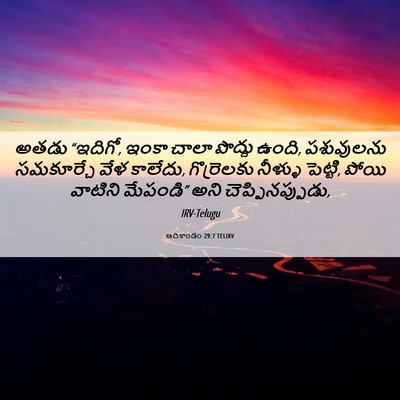 Picture 06 - ఆదికాండం 29:7 TELIRV - అతడు “ఇదిగో, ఇంకా - Bible Verse Picture