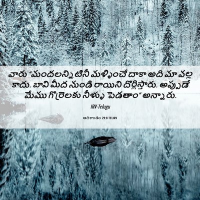 Picture 06 - ఆదికాండం 29:8 TELIRV - వారు - Bible Verse Picture