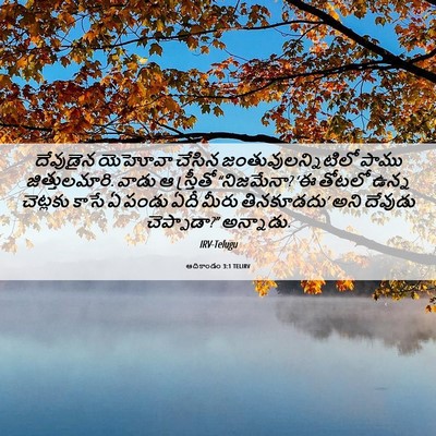 Picture 06 - ఆదికాండం 3:1 TELIRV - దేవుడైన యెహోవా - Bible Verse Picture