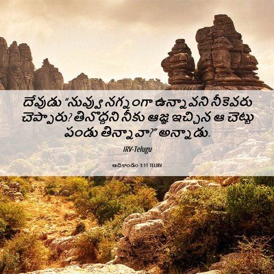 Picture 06 - ఆదికాండం 3:11 TELIRV - దేవుడు “నువ్వు - Bible Verse Picture
