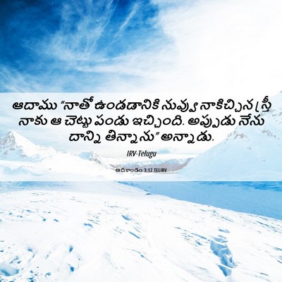 Picture 06 - ఆదికాండం 3:12 TELIRV - ఆదాము “నాతో - Bible Verse Picture