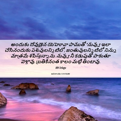 Picture 06 - ఆదికాండం 3:14 TELIRV - అందుకు దేవుడైన - Bible Verse Picture