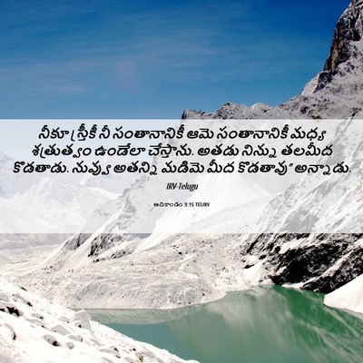 Picture 06 - ఆదికాండం 3:15 TELIRV - నీకూ స్త్రీకీ నీ - Bible Verse Picture
