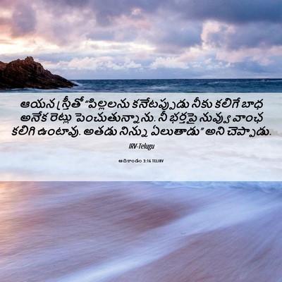 Picture 06 - ఆదికాండం 3:16 TELIRV - ఆయన స్త్రీతో - Bible Verse Picture
