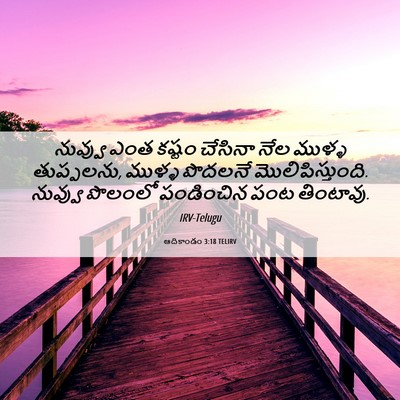 Picture 06 - ఆదికాండం 3:18 TELIRV - నువ్వు ఎంత కష్టం - Bible Verse Picture