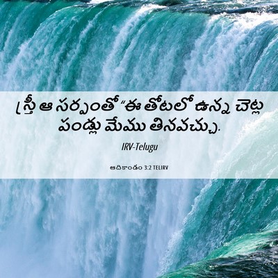 Picture 06 - ఆదికాండం 3:2 TELIRV - స్త్రీ ఆ సర్పంతో - Bible Verse Picture