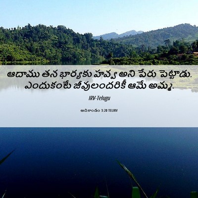 Picture 06 - ఆదికాండం 3:20 TELIRV - ఆదాము తన భార్యకు - Bible Verse Picture